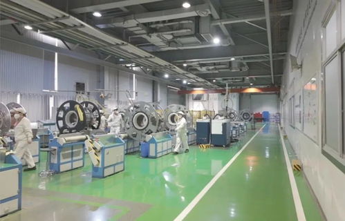 以教育之強譜寫高質量發展新篇 浙江大學勇擔使命，引領軟件研發與銷售創新實踐